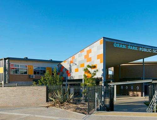 Sydney South Public School Cluster