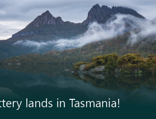 Slattery lands in Tasmania